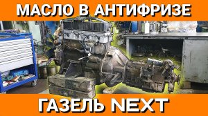 ГАЗЕЛЬ NEXT///ДВИГАТЕЛЬ УМЗ275///РАЗБОР
