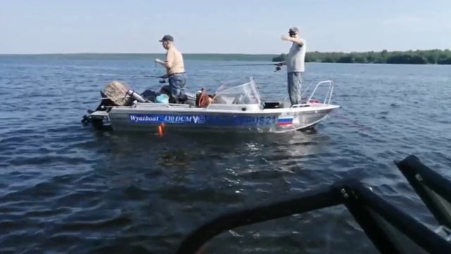 Project 12 смотреть онлайн
