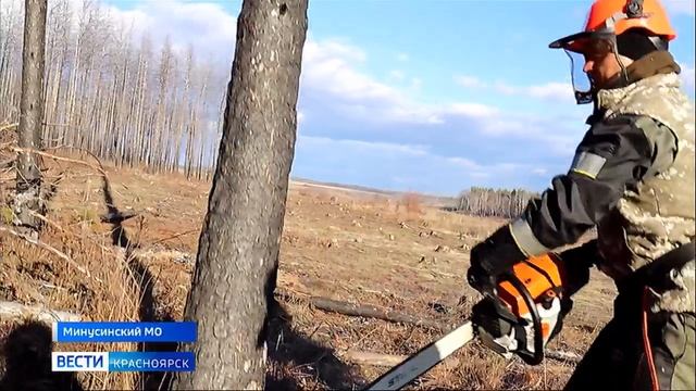 Вести. Красноярск от 04.11.2025 смотреть онлайн