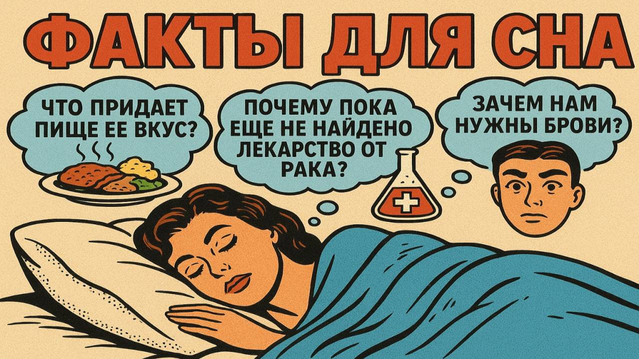 Факты от которых ты ТОЧНО уснешь! смотреть онлайн