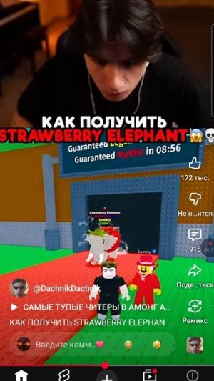 как получить strawberry elephant от Sammy 😱