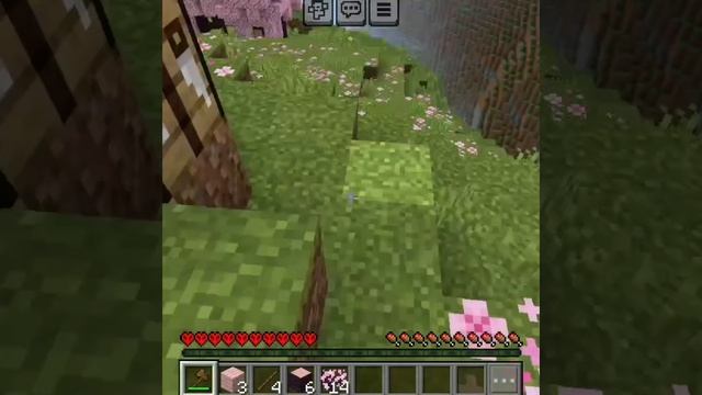 РАЗОБЛАЧЕНИЕ НА ХЕРОБРИНА(похоже он существует..)