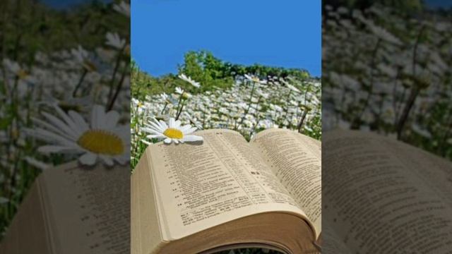 День Жатвы настал _ KRASHVE смотреть онлайн