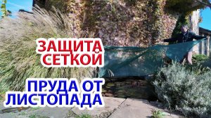 Как защитить пруд от листопада