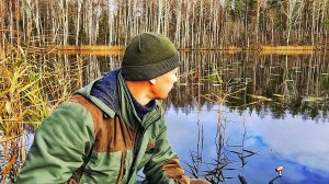 Поход в Тайгу. Ловим Озёрных Окуней. ищем место для Избы.