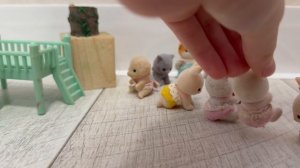 Сильвания Фесилис . Серия 5 . новенькая или накрашенная баба  с накрашенным тандижок . 💗