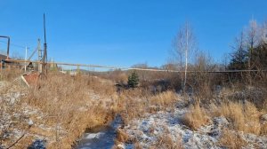 прогулка  друзья пойдёмте немножко погуляем