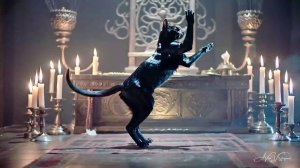 Песенка Магического Кота (клип)