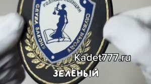 шеврон колледжа полиции