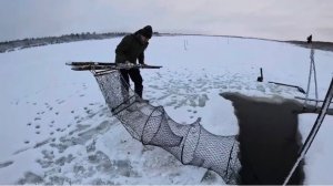 Ловля налима и язя на фитили и поставушки. Улов нас порадовал! Зимняя рыбалка на Крайнем Севере.