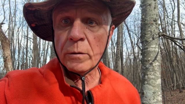 Крым ноябрь Караби-Яйла грибы