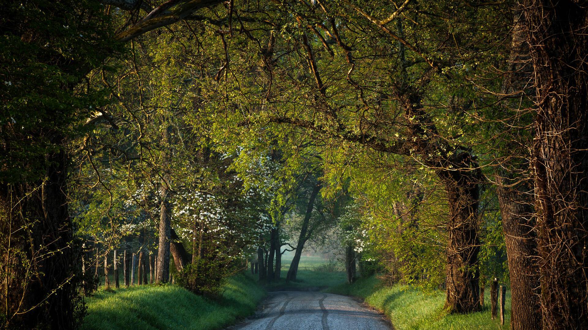 AShamaluevMusic Dramatic Emotional смотреть онлайн