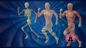 05 Ноября "КОСТИ" матрица подлинная П П гаряева Петр Гаряев Программы сайто WAVEGENETICS.RU CD