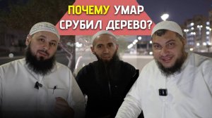 Почему Умар срубил дерево? / Беседа в Медине