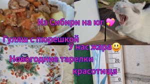 04-11-2025 Переезд из Сибири на юг 💖/Купили дом на юге ☀️/Сжигаем ветки/Новые тарелки/Гуляш/Жара/