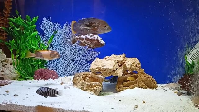 Ресторан ОДжах, Екатеринбург