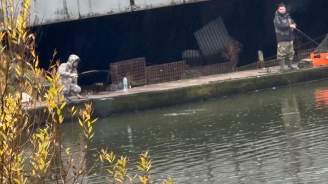 Снова серый мост смотреть онлайн