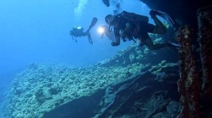 Дайвинг в Египте. Дайверские осенние зарисовки в 4К.