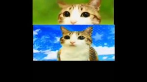 Эдит Меовл /не мой