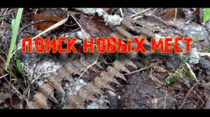 НОВЫЕ МЕСТА. Коп по войне. Фильм 42. Военная археология.