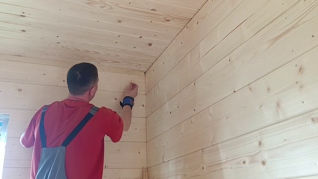 Потолочные плинтуса смотреть онлайн