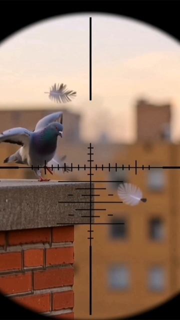 Кот снайпер 