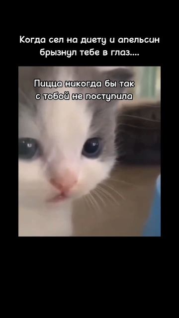 #127 || МЕМЫ || ПРИКОЛЫ || ЮМОР смотреть онлайн