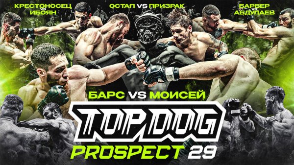 TOP DOG: PROSPECT 29, г. Орёл | Моисей VS Барс, Остап VS Призрак