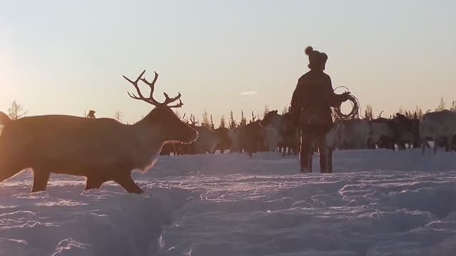 Зимний Ямал