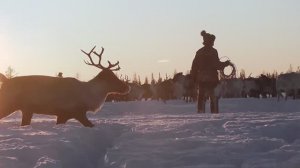 Зимний Ямал