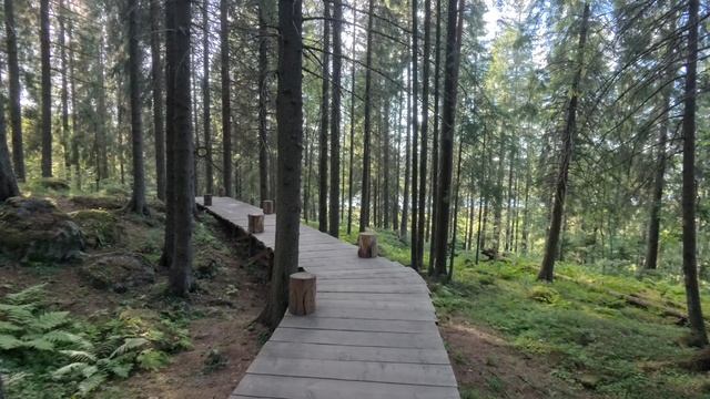 Карелия. VID_20250812_181023_155