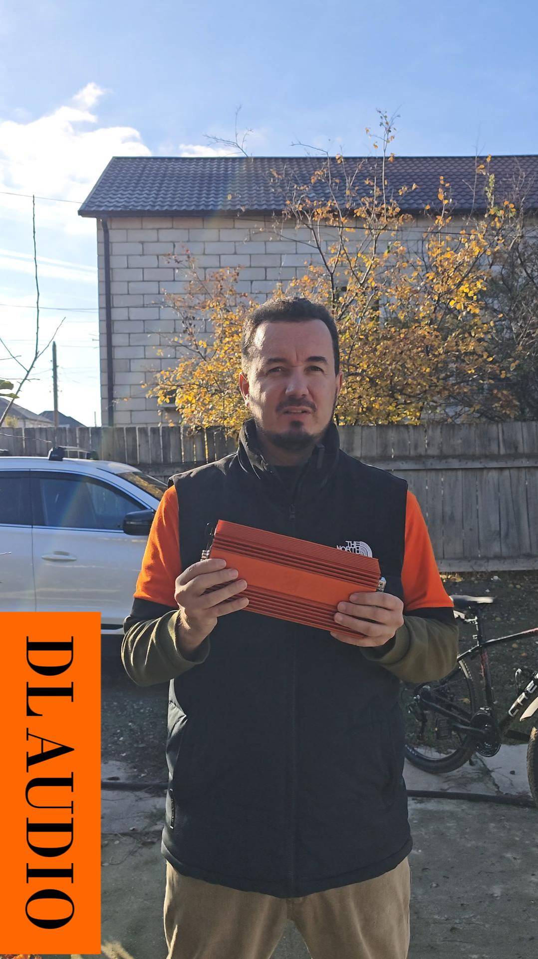 DL Audio Raven Compact 4.220