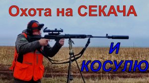 ОХОТА УДАЛАСЬ! РЕКОРД - 250 метров по бегущей косуле. Козы и секач за 2 дня.