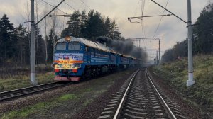 Дали медведя! Тепловозы 3М62У-0064/0050 с «Поездом Деда Мороза» на перегоне, ноябрь 2025 года