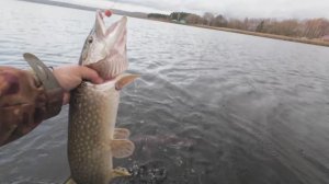 Рыбалка на щуку. Вечерний выход.