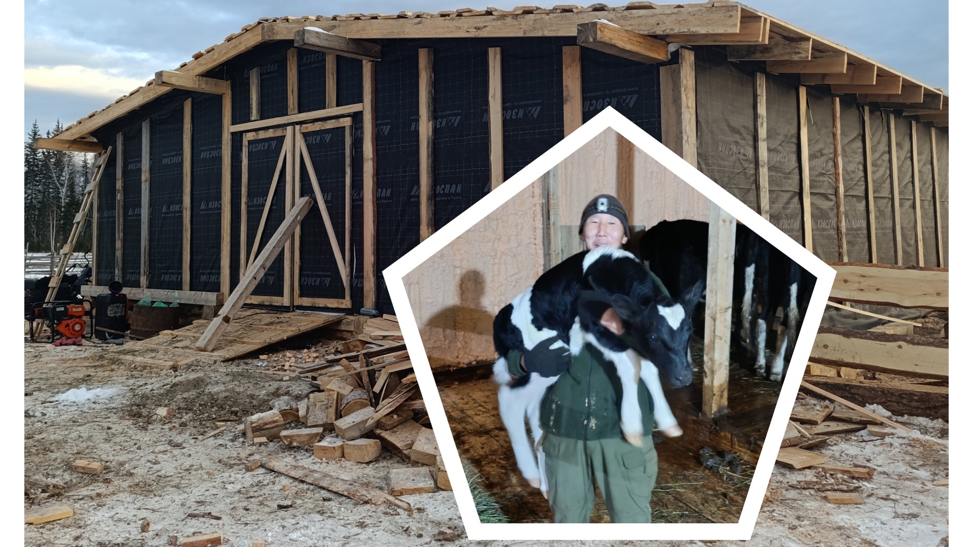 Ферма Чаринский 4 серия. Открытие коровника и прибавление теленка.