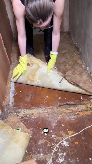 Преображение коридора своими руками