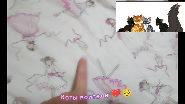 Коты воители... 💔🥺💓😔