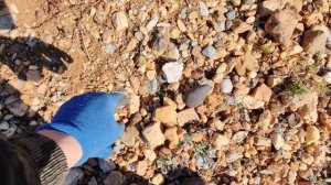 УРАЛЬСКАЯ ПЕСОЧНАЯ ЗОЛОТАЯ ПУСТЫНЯ