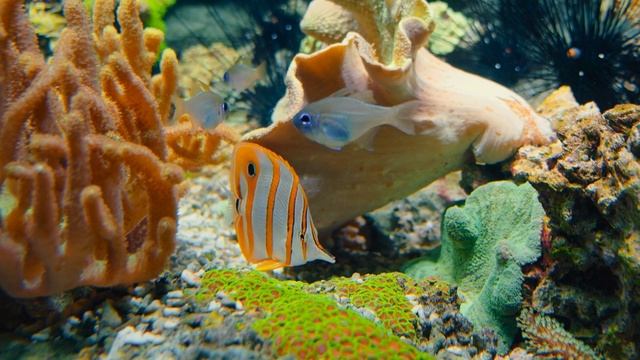 Дизайн без названия (21) смотреть онлайн