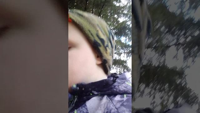 пробрались в школу