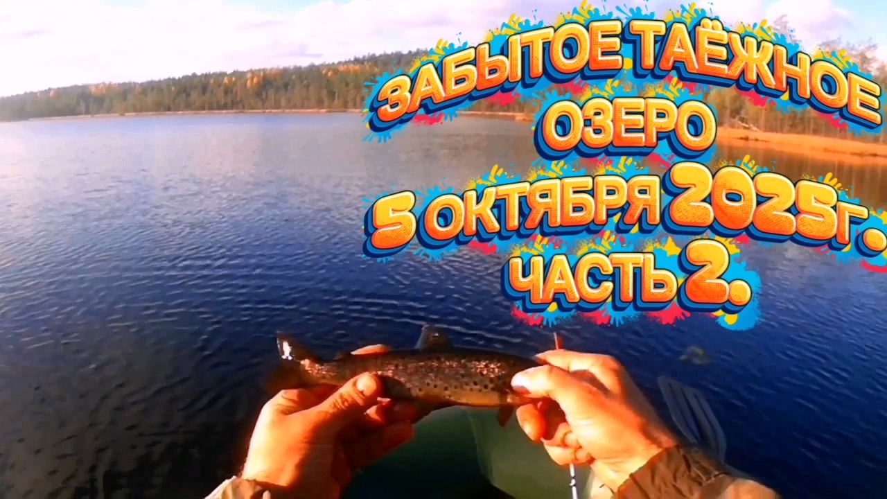 ФОРЕЛЬ-ОГОНЬ! ОКУНЬ-КРАСАВЕЦ! ТАЁЖНОЕ ОЗЕРО! ПЕРВЫЙ ДЕНЬ. ЧАСТЬ 2. #recommended #fishing #рыбалка