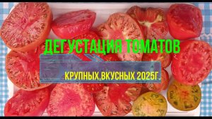 Самые вкусные самые крупные сорта томатов дегустация