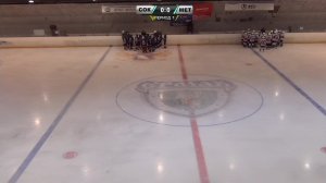 2014: Первенство СФО по хоккею среди юношей (день 2)