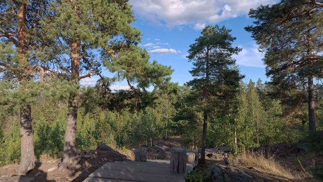 Карелия. VID_20250812_180243_154