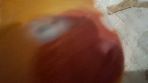 трейлер фильма гусь 2 сезон 4 серия 2 часть
остров🤠