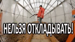 Как я наконец помыл теплицу: осенняя уборка и профилактика вредителей