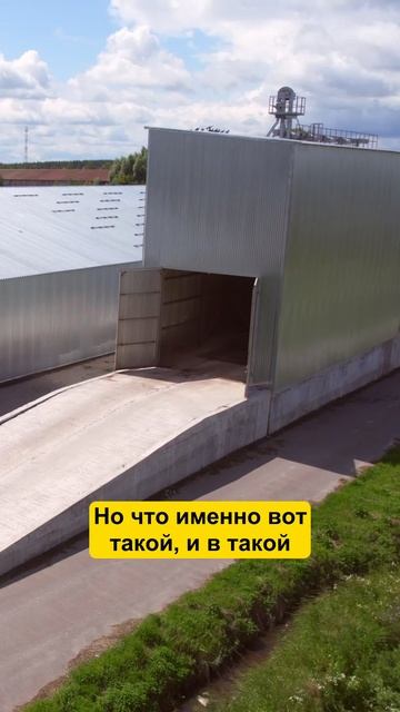 Плюс 4 литра МОЛОКА. Как добились? #фермер #сельскоехозяйство #молоко #корова #ферма смотреть онлайн