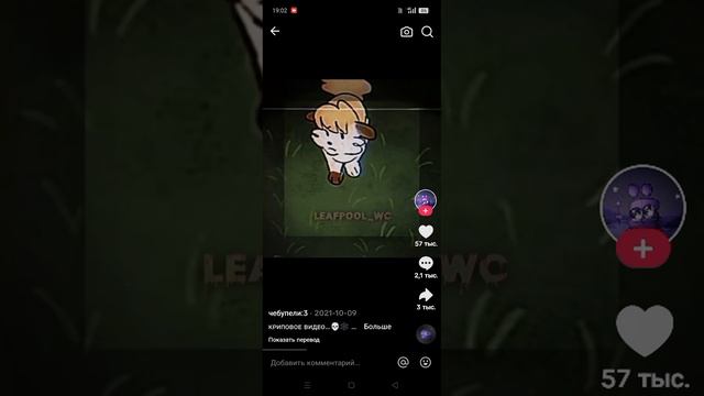 Коты воители подборка из тик токк часть 1