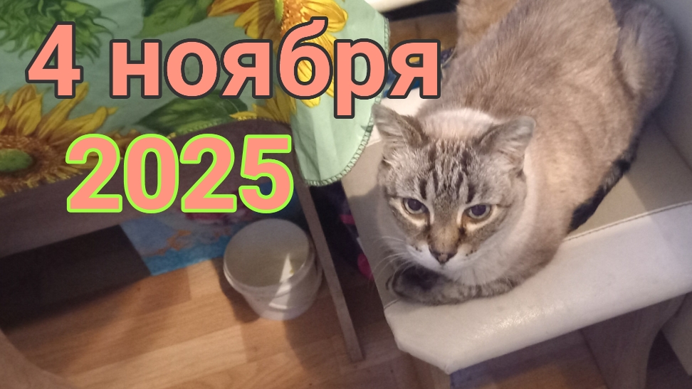 4 ноября 2025. Поздний завтрак. смотреть онлайн